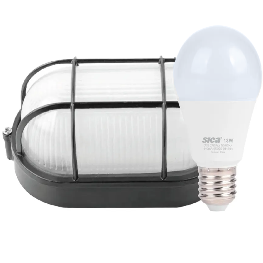 TORTUGA OVAL C/REJA NG C/LAMP LD       630303